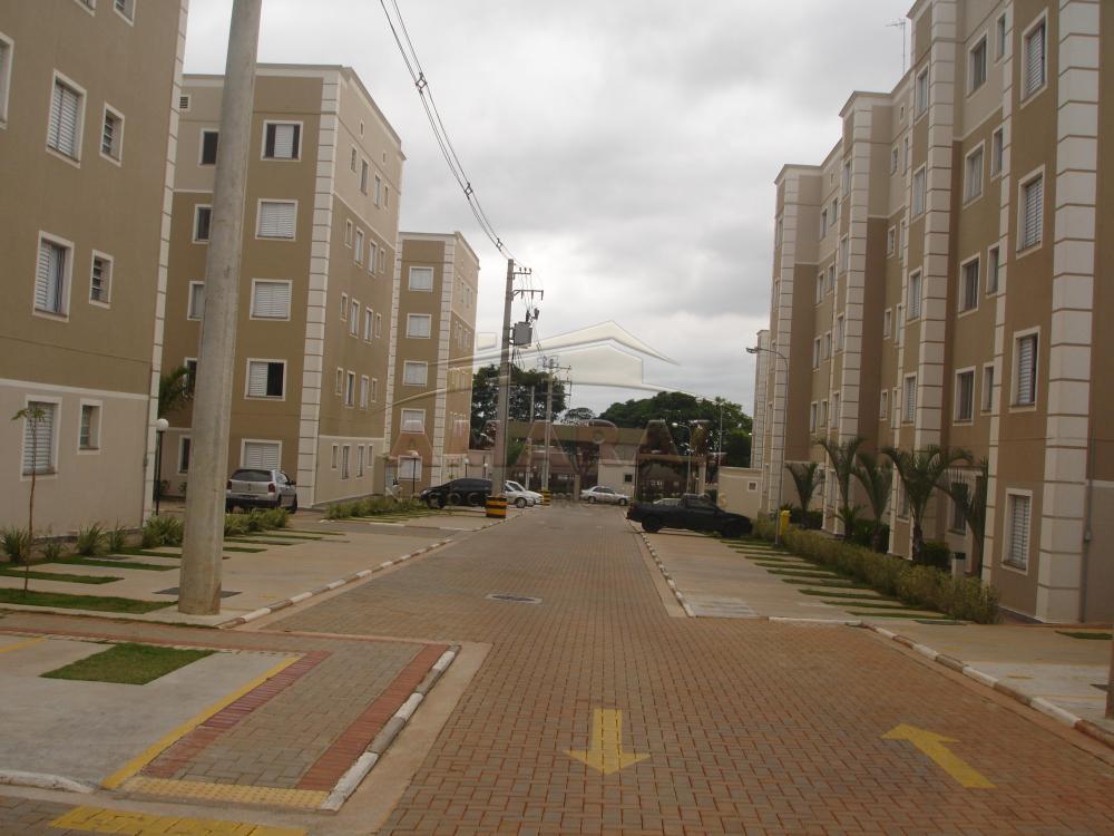 Alugar Apartamentos / Padrão em Suzano R$ 900,00 - Foto 1