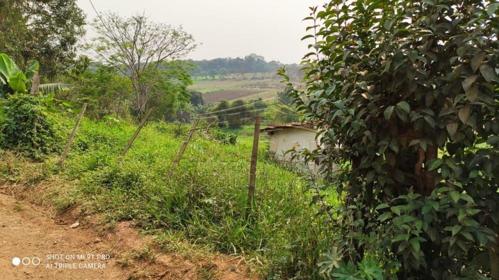 Comprar Terrenos / Terreno em Suzano R$ 480.000,00 - Foto 5