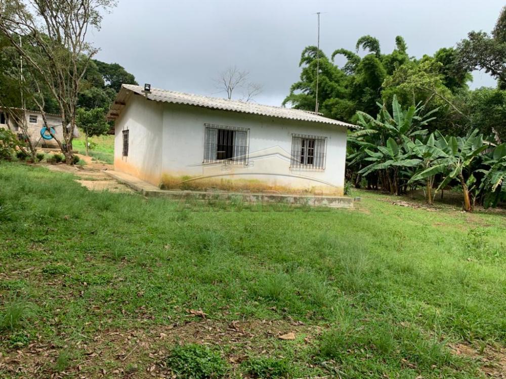 Comprar Rurais / Chácara em Suzano R$ 3.000.000,00 - Foto 11