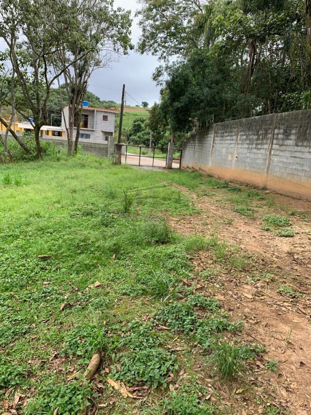 Comprar Rurais / Chácara em Suzano R$ 3.000.000,00 - Foto 12