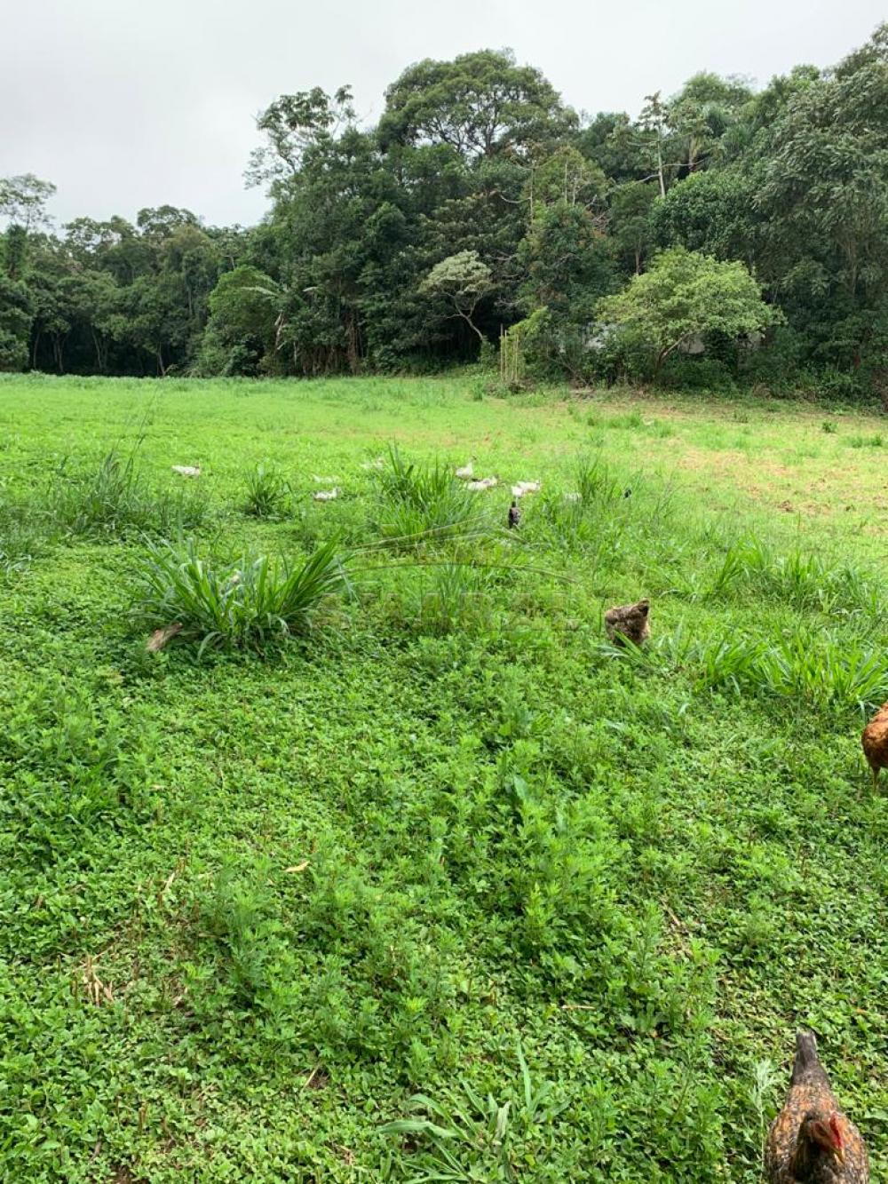 Comprar Rurais / Chácara em Suzano R$ 3.000.000,00 - Foto 1