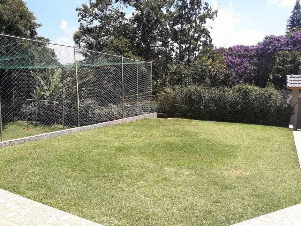 Comprar Rurais / Chácara em Suzano R$ 850.000,00 - Foto 11