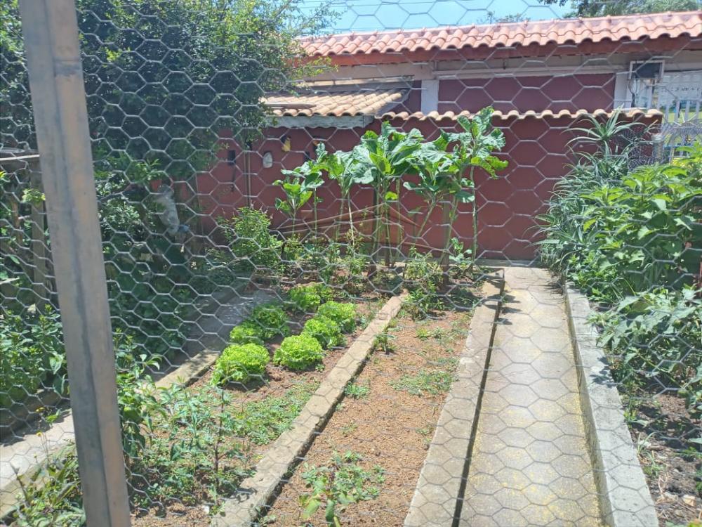 Comprar Casas / Sobrado em Suzano R$ 500.000,00 - Foto 5