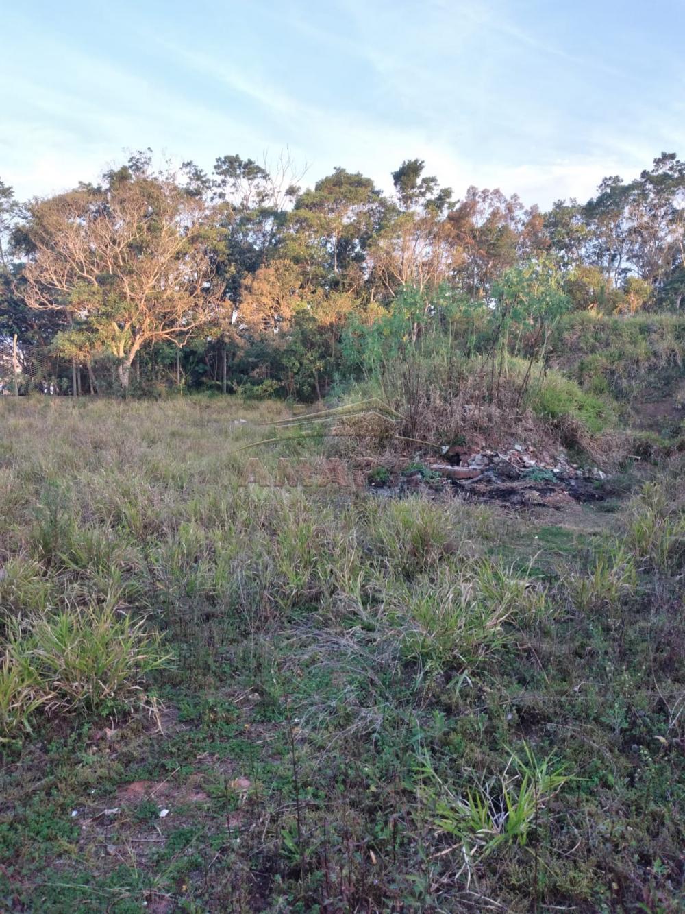 Comprar Terrenos / Terreno em Suzano R$ 660.000,00 - Foto 10