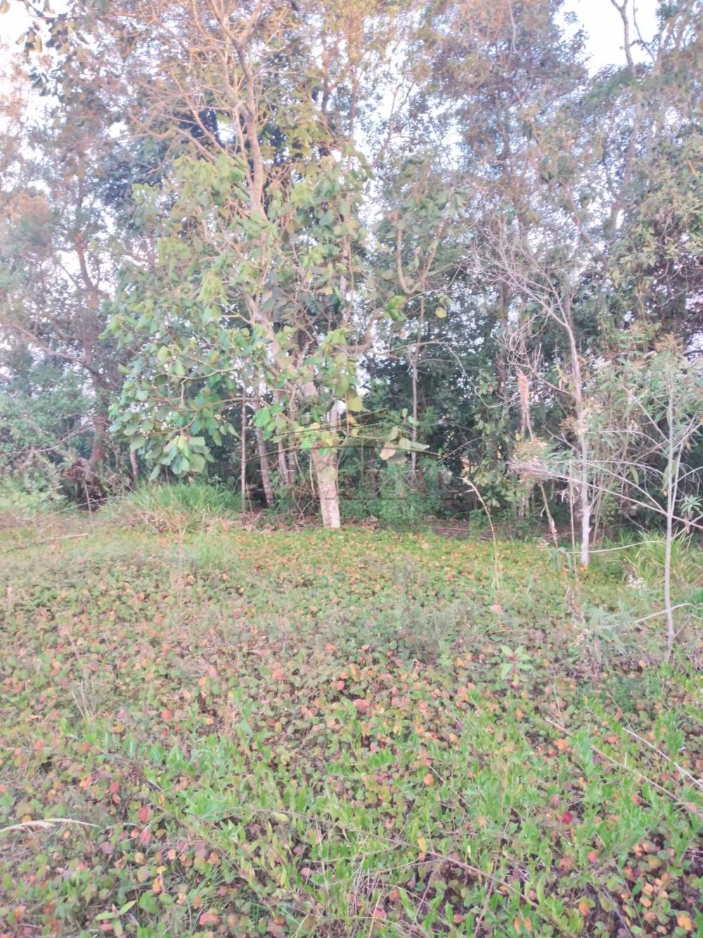 Comprar Terrenos / Terreno em Suzano R$ 660.000,00 - Foto 6