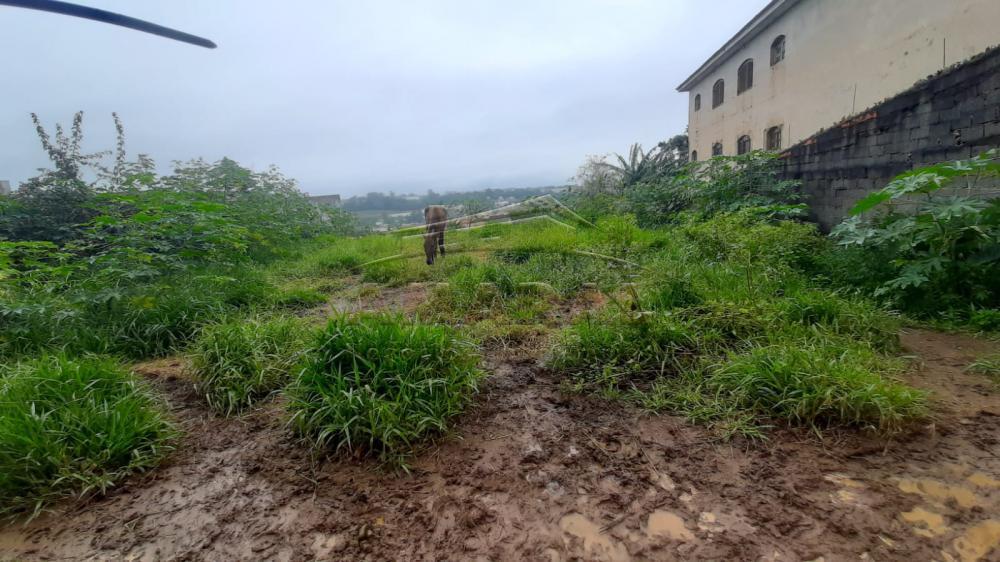 Comprar Terrenos / Terreno em Suzano R$ 400.000,00 - Foto 3