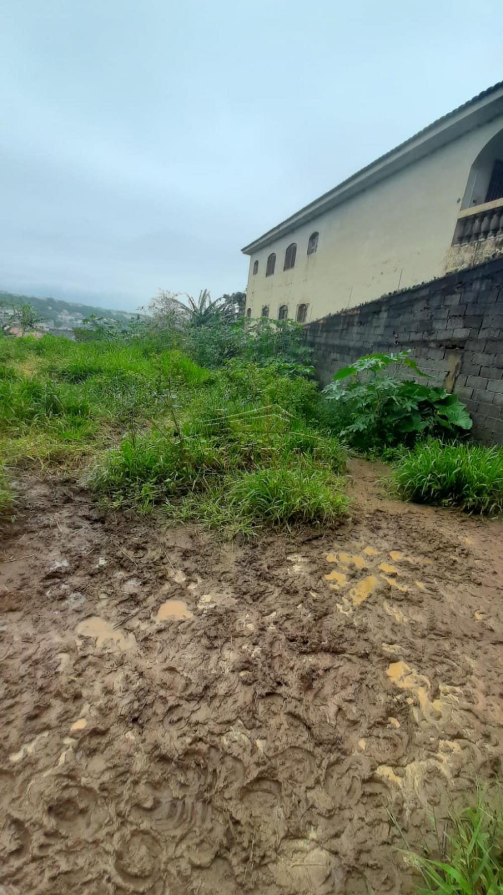 Comprar Terrenos / Terreno em Suzano R$ 400.000,00 - Foto 4