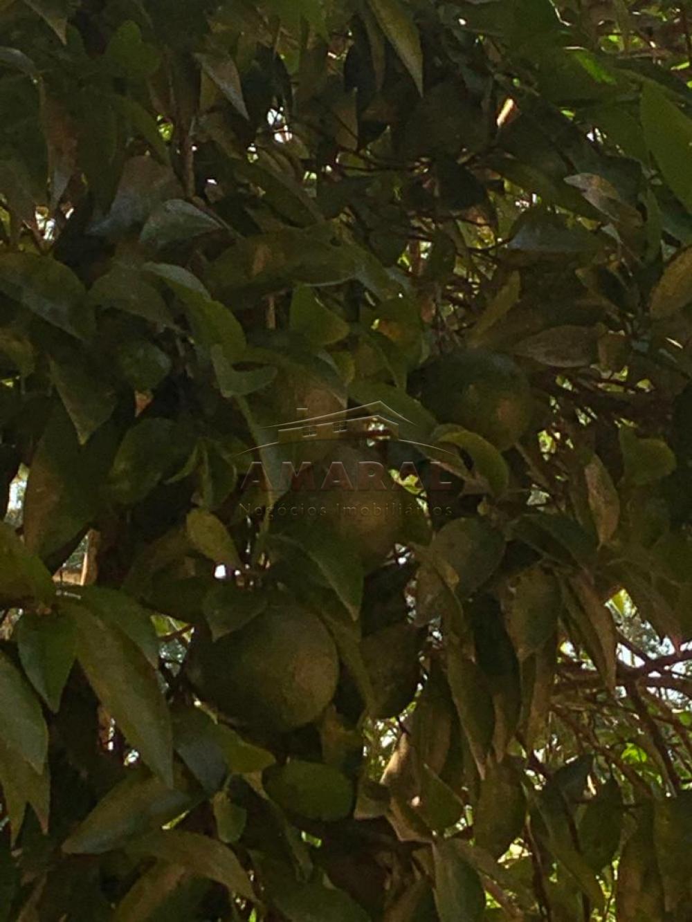 Comprar Terrenos / Área em Suzano R$ 2.866.500,00 - Foto 11