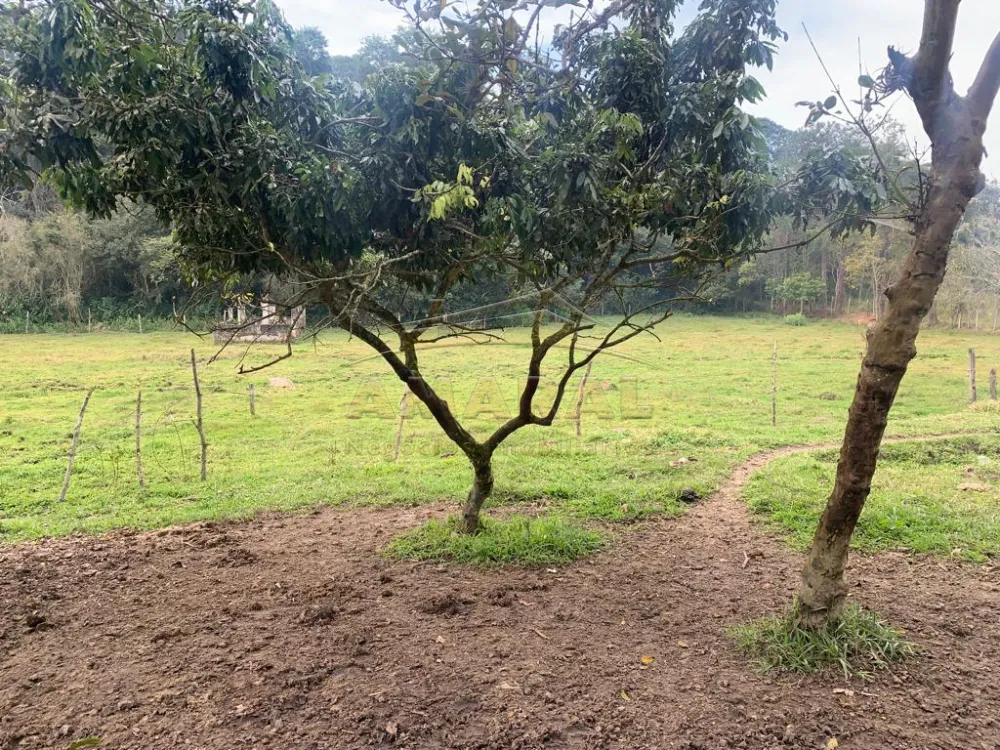 Comprar Rurais / Chácara em Santa Isabel R$ 750.000,00 - Foto 9