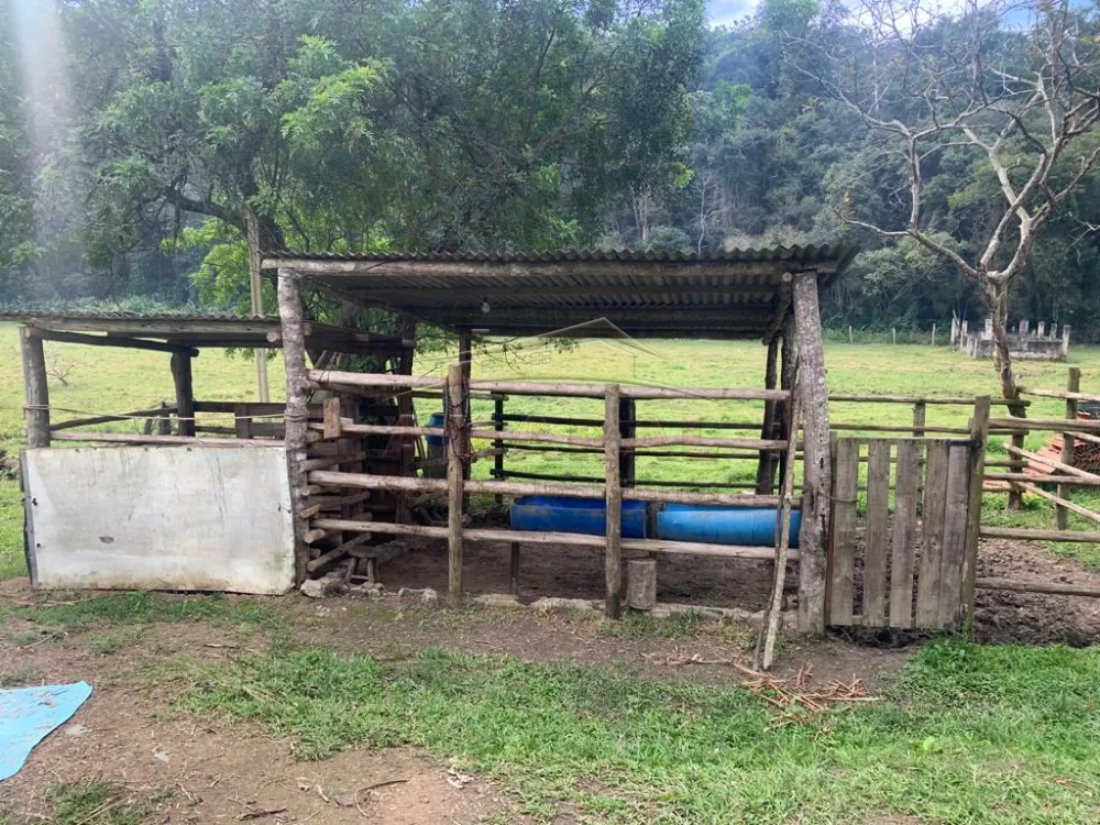 Comprar Rurais / Chácara em Santa Isabel R$ 750.000,00 - Foto 11