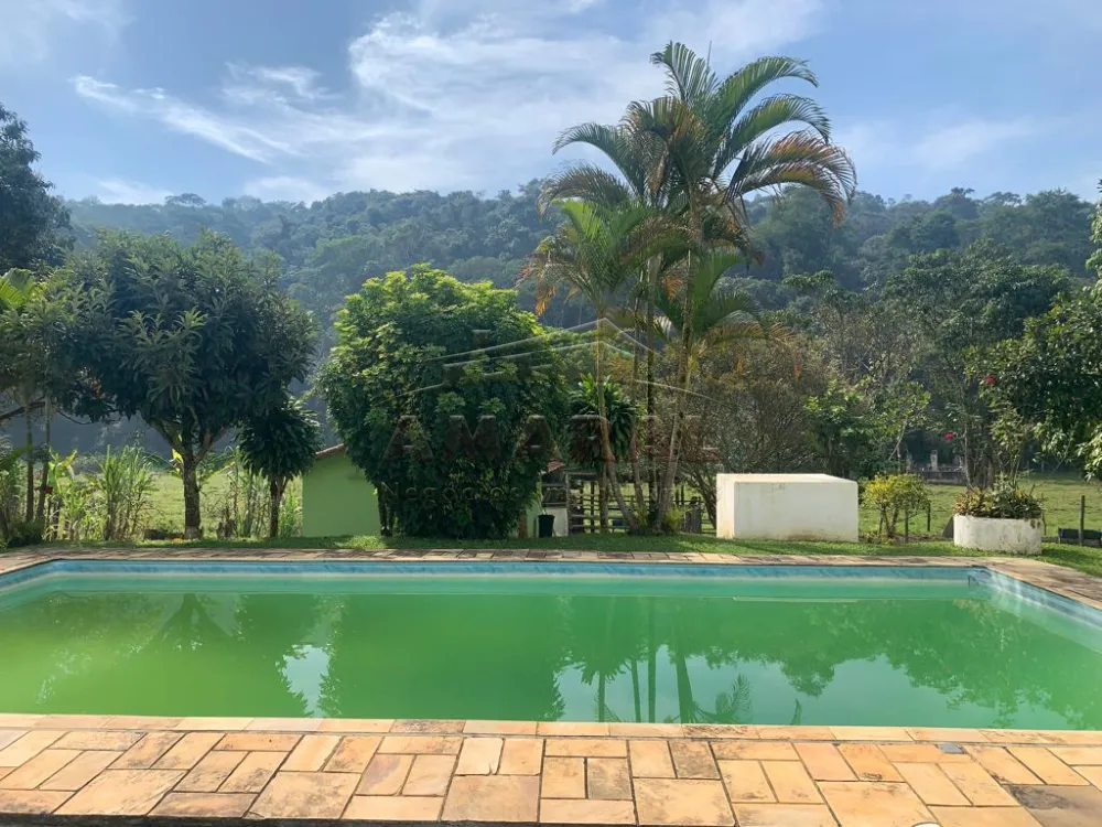 Comprar Rurais / Chácara em Santa Isabel R$ 750.000,00 - Foto 15