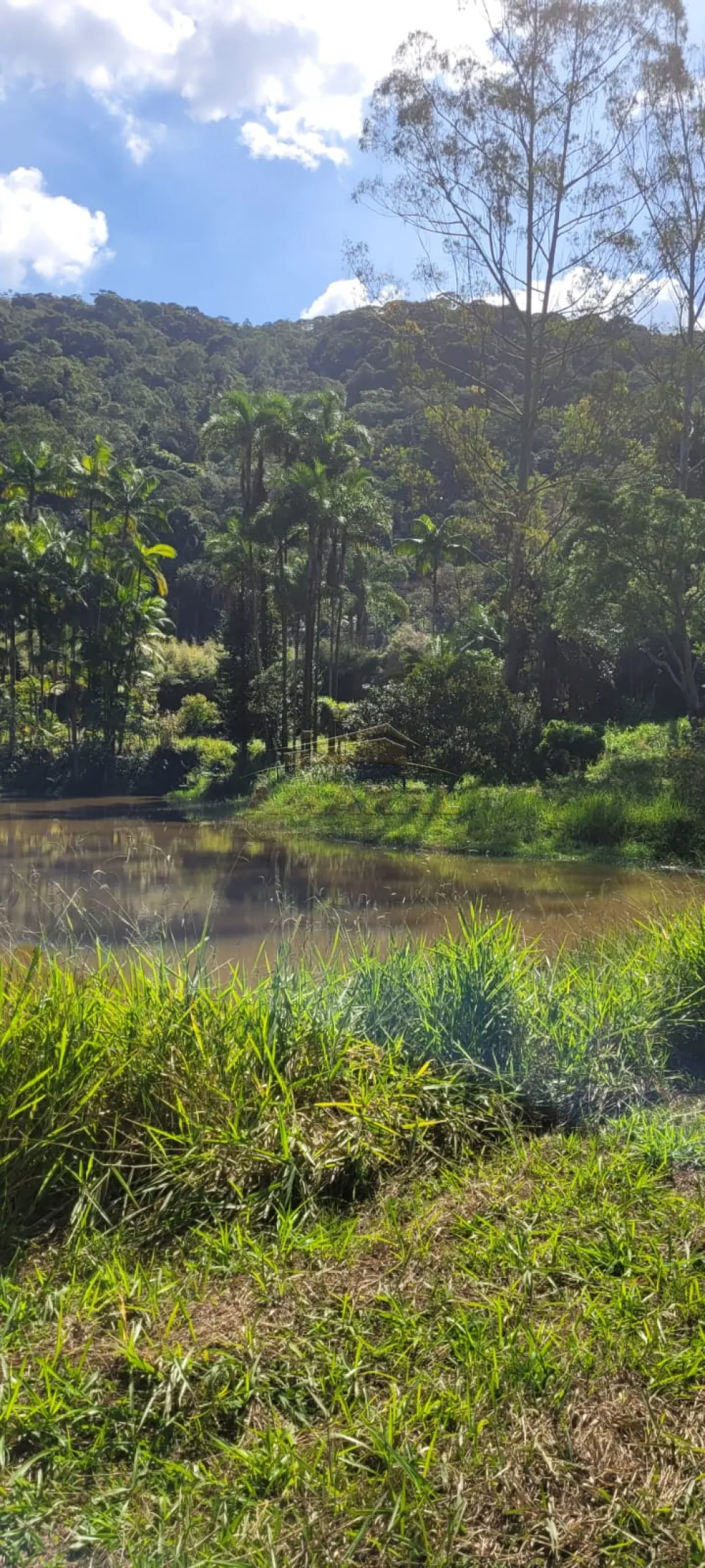 Comprar Rurais / Sítio em Suzano R$ 4.430.000,00 - Foto 1