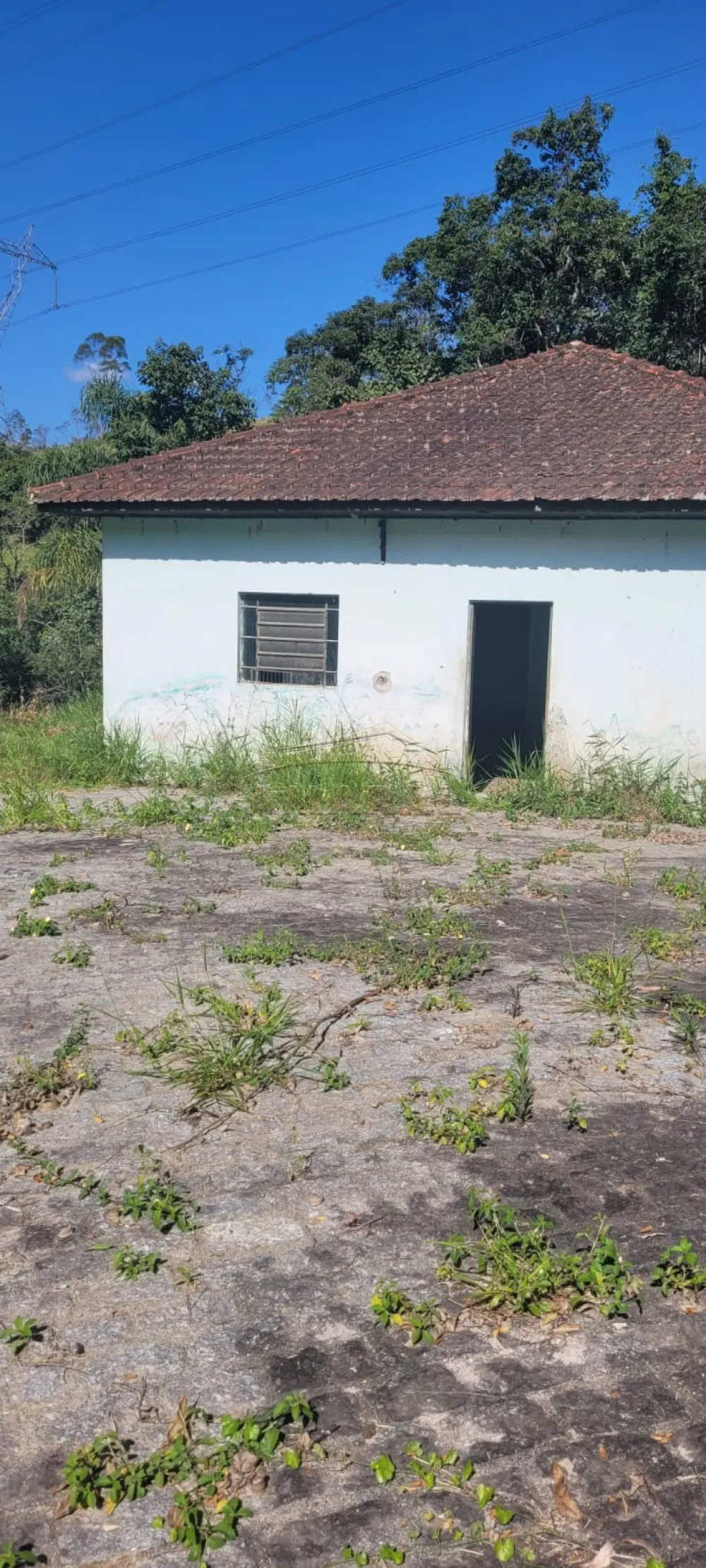 Comprar Rurais / Sítio em Suzano R$ 4.430.000,00 - Foto 12