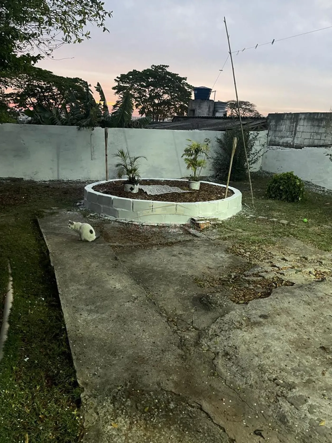 Comprar Casas / Térrea em Suzano R$ 390.000,00 - Foto 14