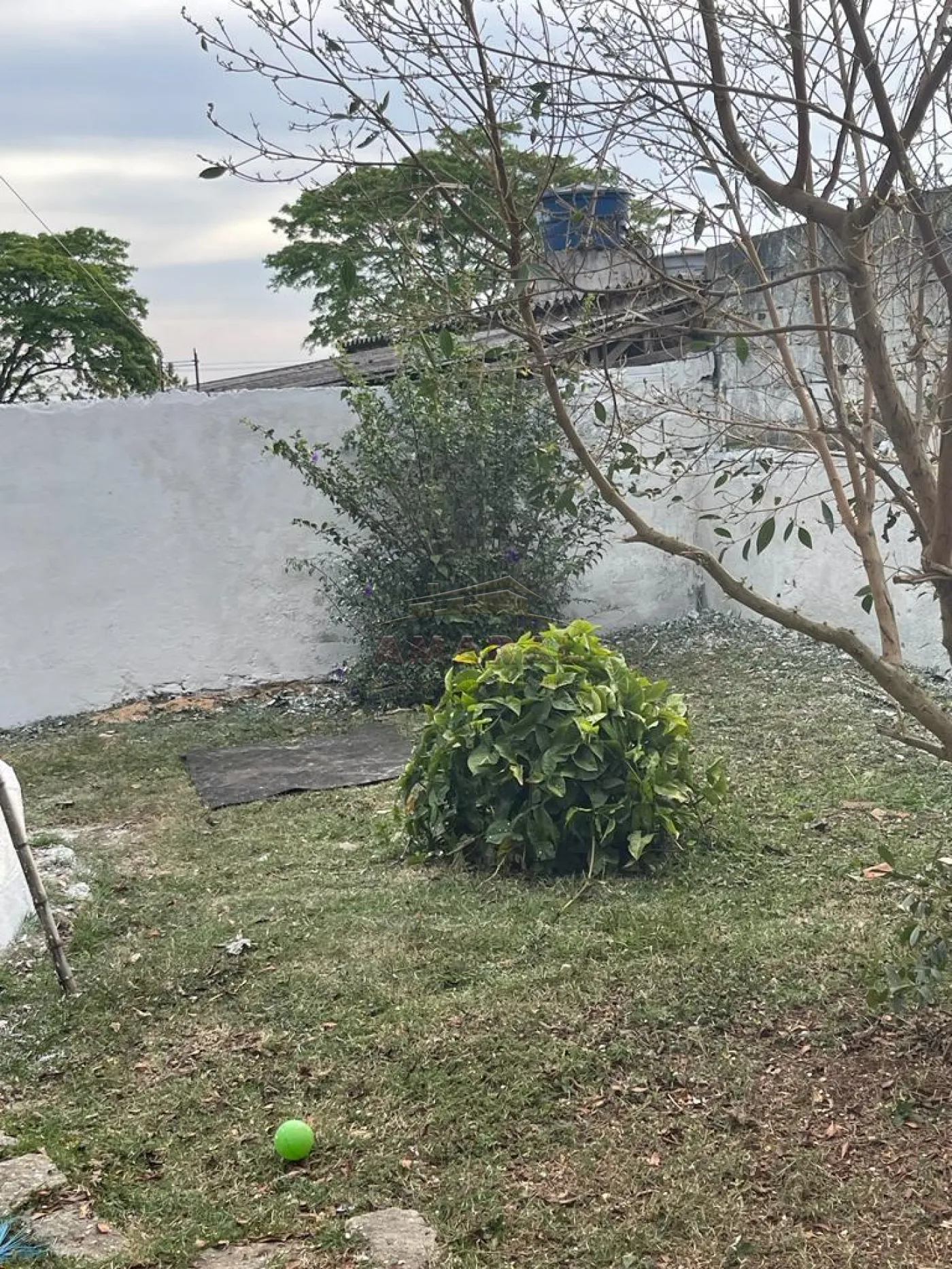 Comprar Casas / Térrea em Suzano R$ 390.000,00 - Foto 15