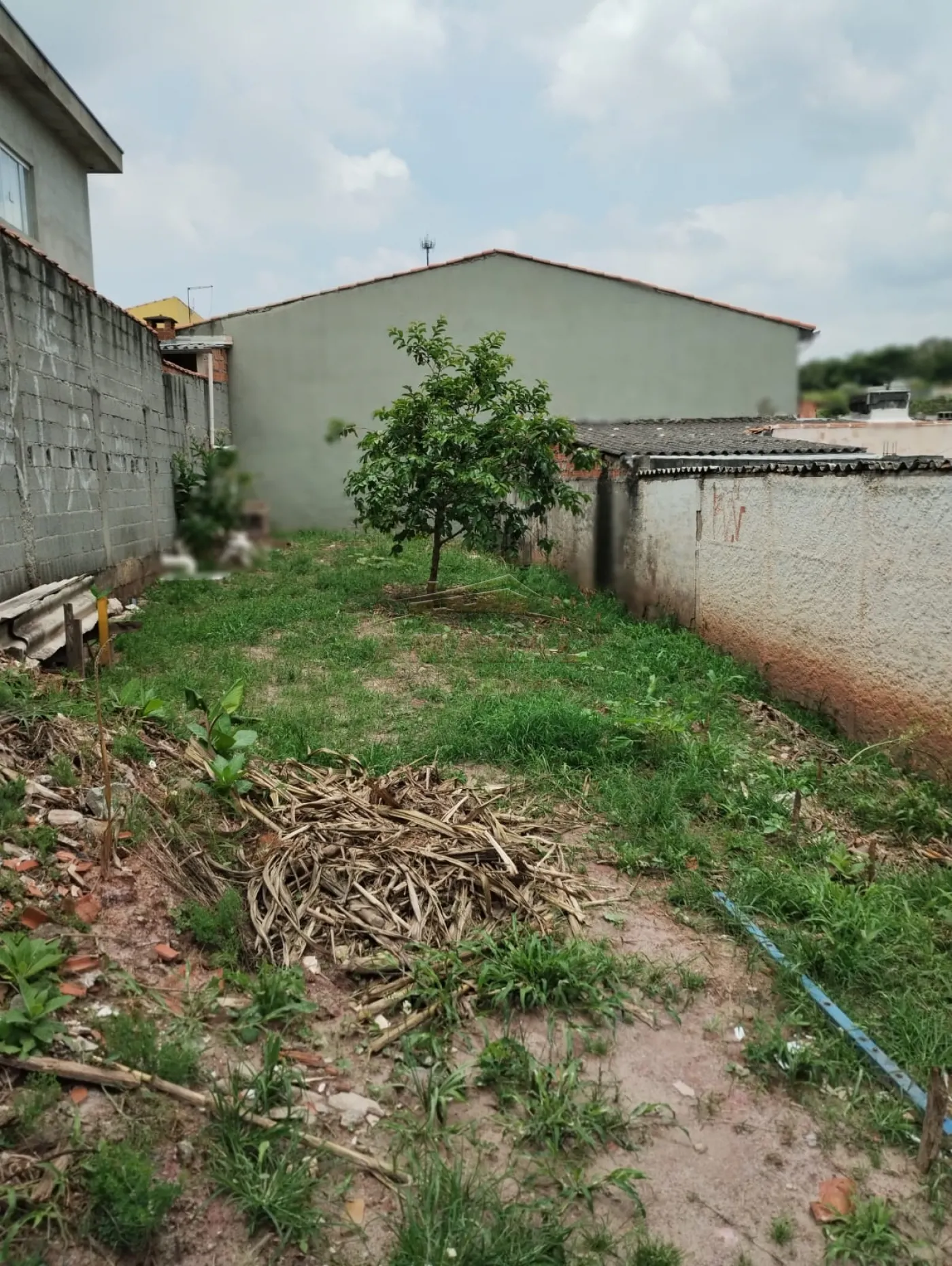 Comprar Terrenos / Terreno em Suzano R$ 150.000,00 - Foto 5