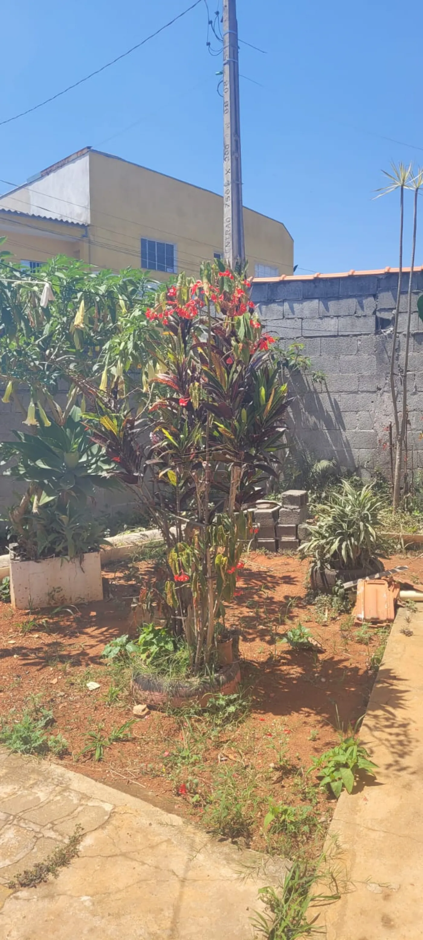 Comprar Casas / Térrea em Suzano R$ 300.000,00 - Foto 28