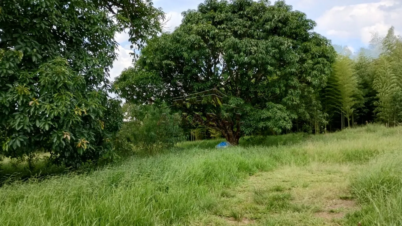 Comprar Rurais / Chácara em Suzano R$ 400.000,00 - Foto 6