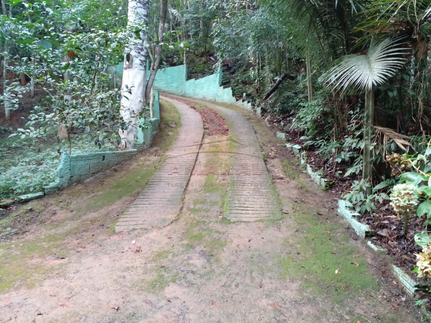 Comprar Rurais / Chácara em Biritiba Mirim R$ 285.000,00 - Foto 8