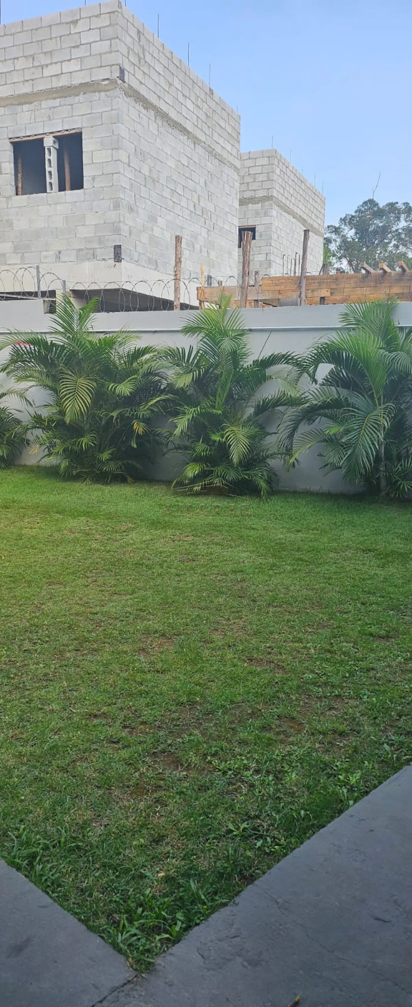 Alugar Apartamentos / Padrão em Suzano R$ 800,00 - Foto 16