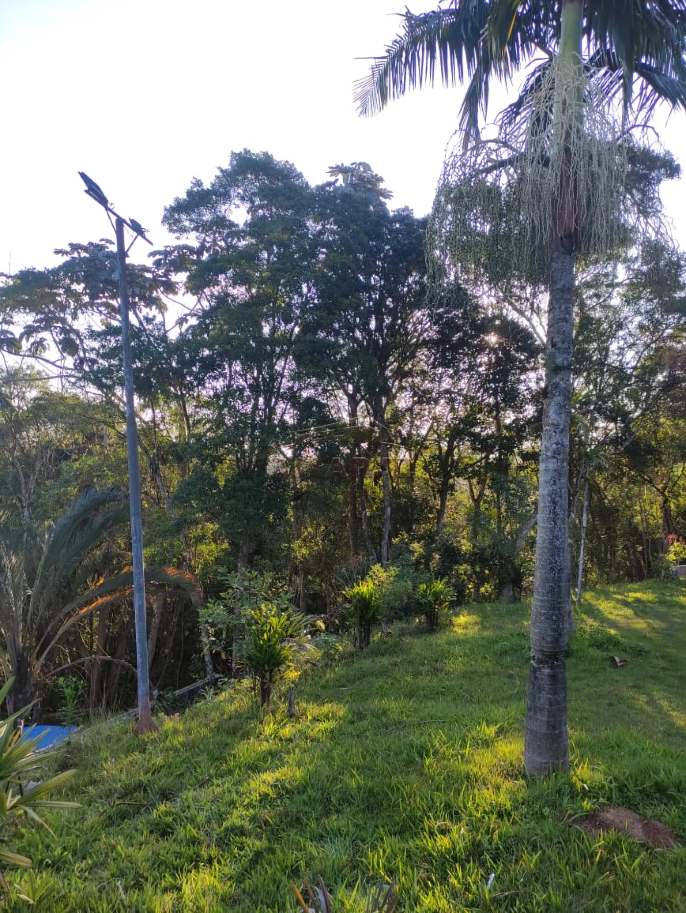 Comprar Rurais / Chácara em Suzano R$ 700.000,00 - Foto 1