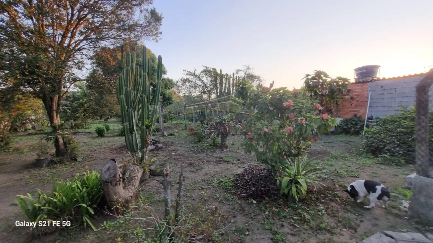 Comprar Rurais / Chácara em Suzano R$ 700.000,00 - Foto 36