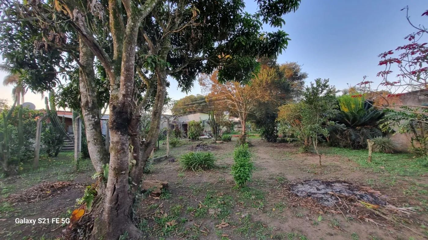 Comprar Rurais / Chácara em Suzano R$ 700.000,00 - Foto 39