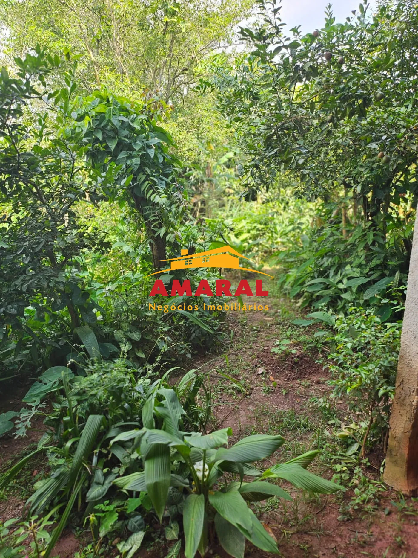 Comprar Casas / Térrea em Suzano R$ 850.000,00 - Foto 27