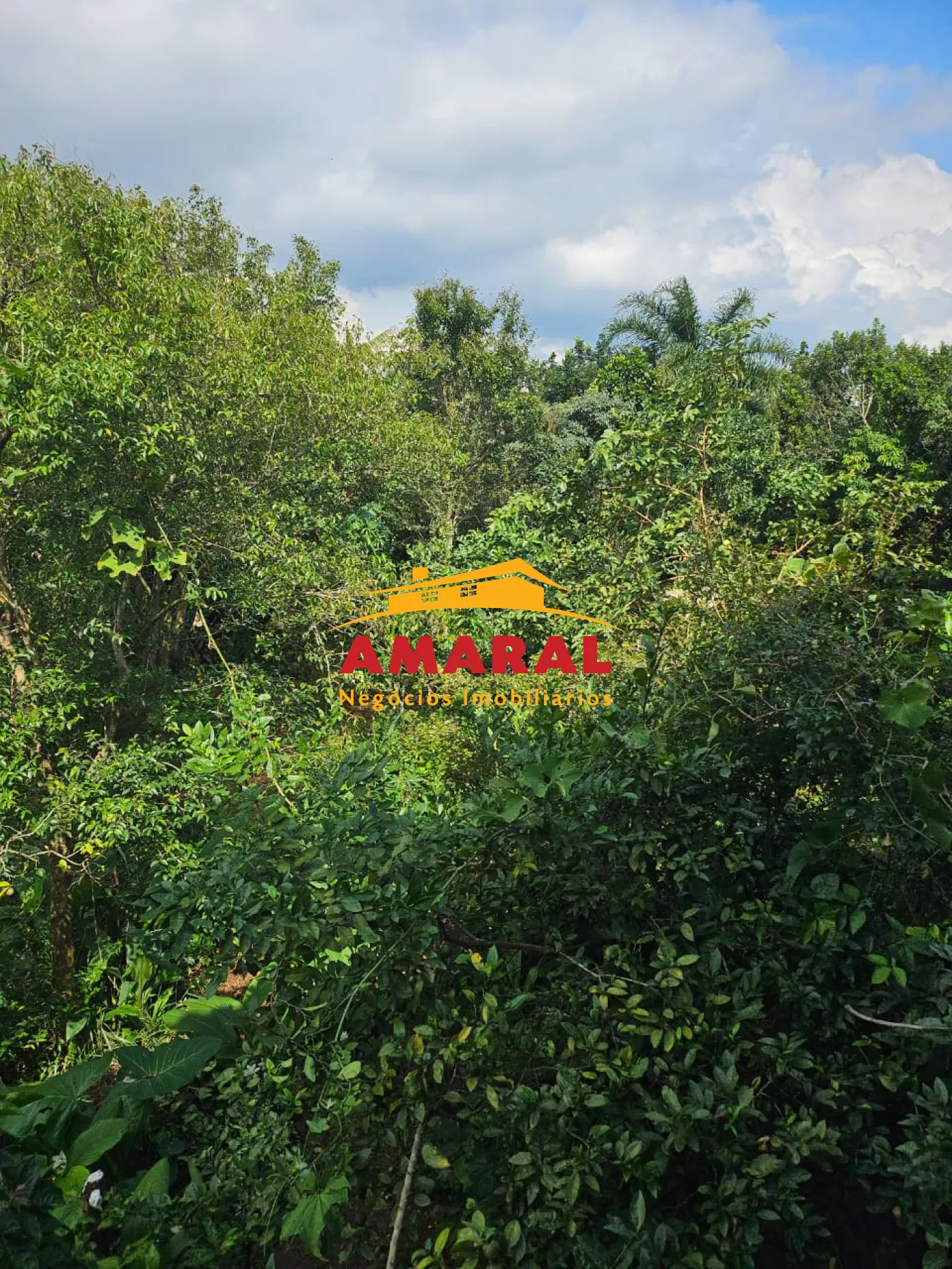 Comprar Casas / Térrea em Suzano R$ 850.000,00 - Foto 24
