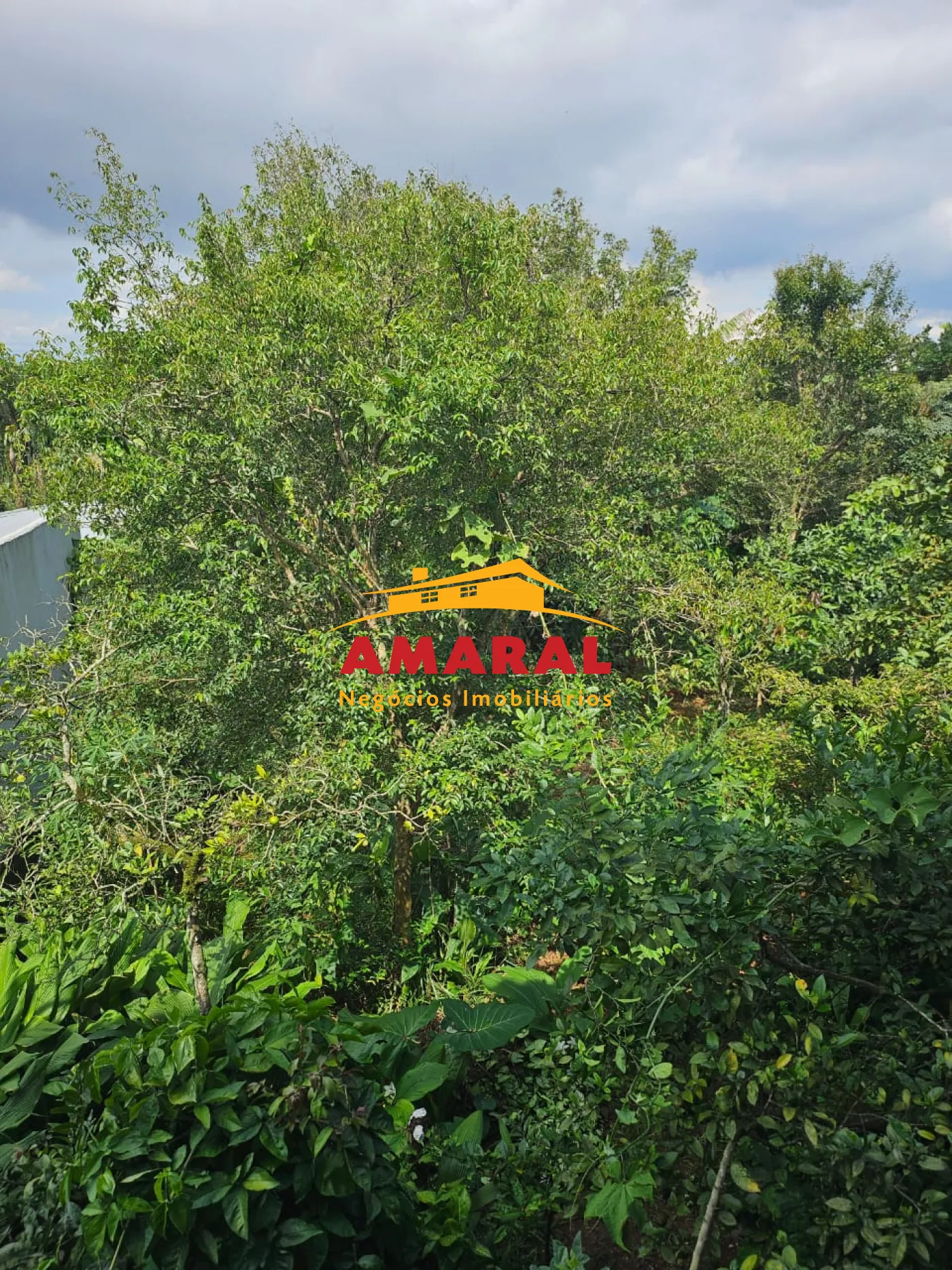 Comprar Casas / Térrea em Suzano R$ 850.000,00 - Foto 21