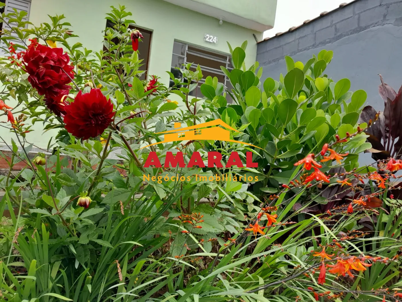 Comprar Casas / Térrea em Suzano R$ 365.700,00 - Foto 2