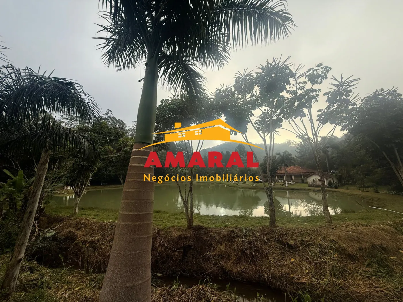 Alugar Rurais / Fazenda em Suzano R$ 5.000,00 - Foto 8