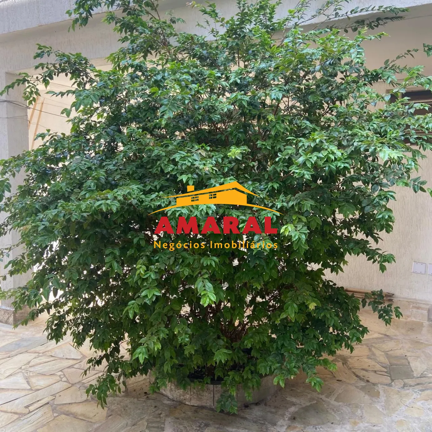 Comprar Casas / Condomínio em Suzano R$ 1.700.000,00 - Foto 33