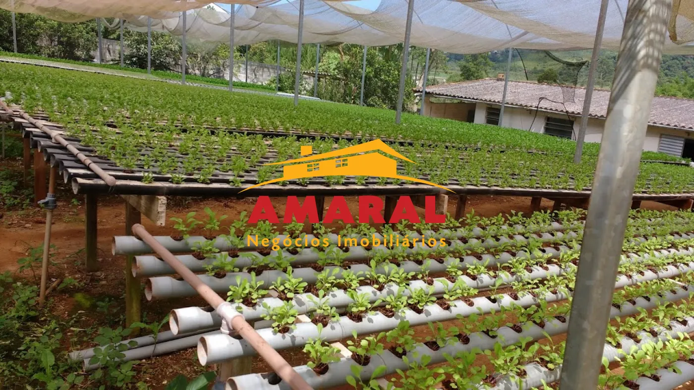 Comprar Casas / Chacara - área Urbana em Suzano R$ 380.000,00 - Foto 5