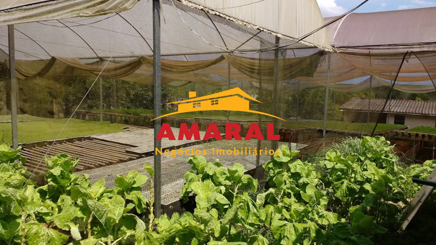 Comprar Casas / Chacara - área Urbana em Suzano R$ 380.000,00 - Foto 6