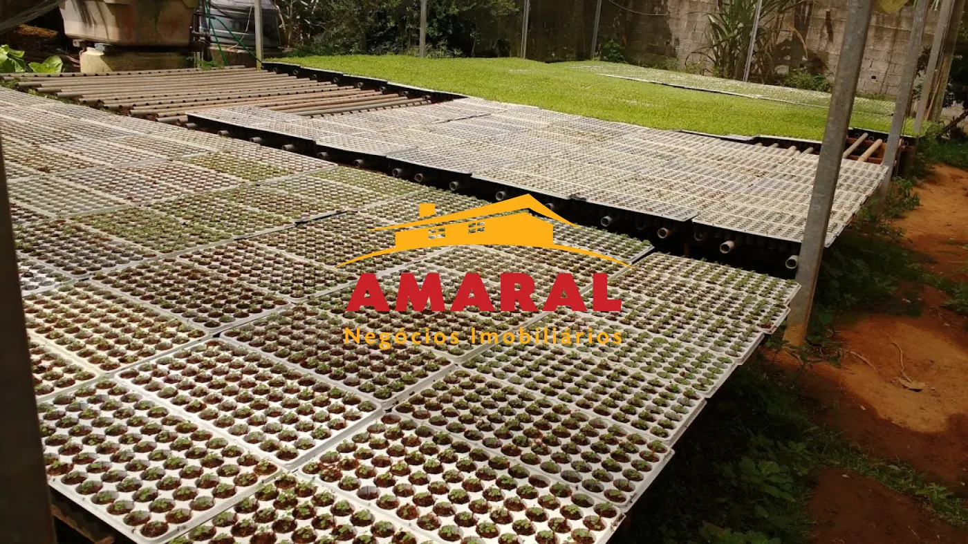 Comprar Casas / Chacara - área Urbana em Suzano R$ 380.000,00 - Foto 7