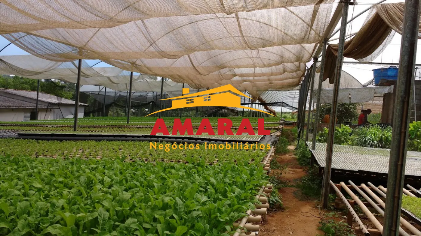 Comprar Casas / Chacara - área Urbana em Suzano R$ 380.000,00 - Foto 8
