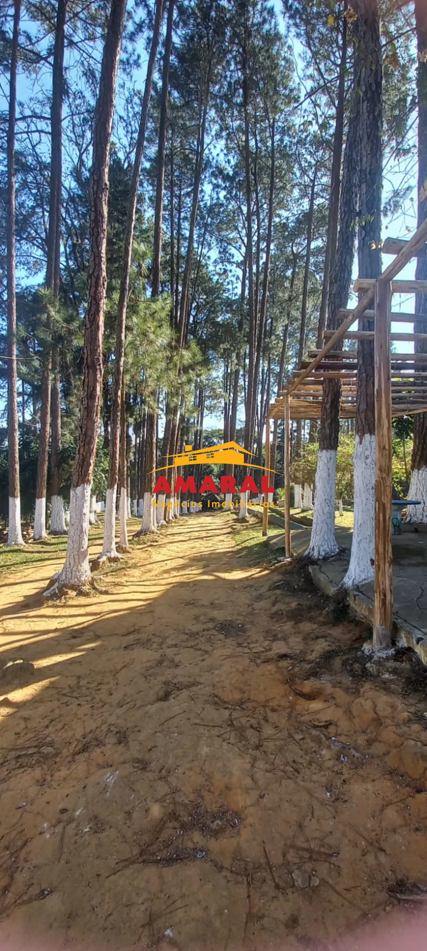 Alugar Rurais / Sítio em Suzano R$ 30.000,00 - Foto 14