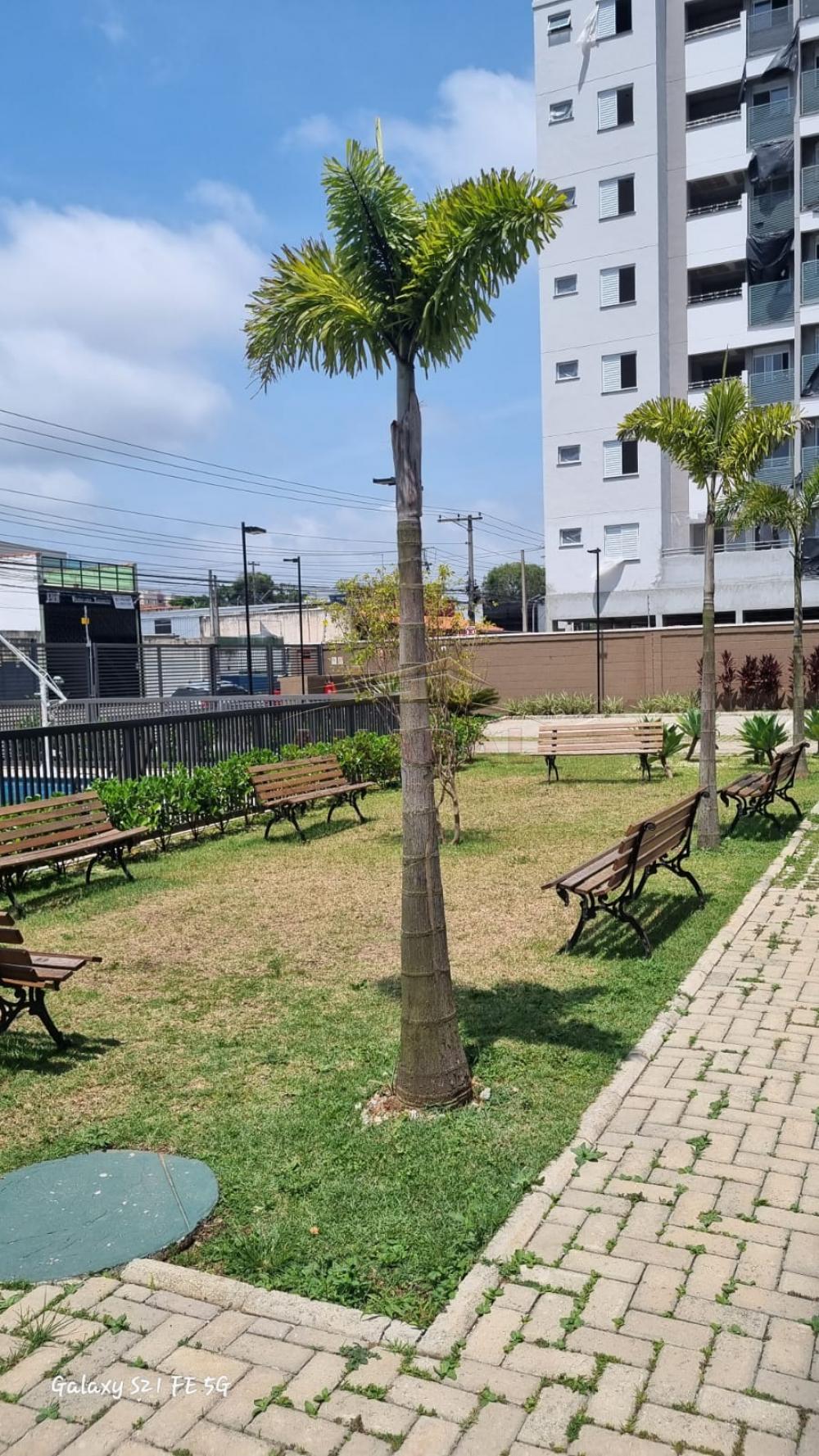Comprar Apartamentos / Padrão em Suzano R$ 320.000,00 - Foto 28