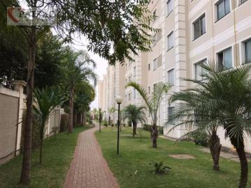 Alugar Apartamentos / Padrão em Suzano R$ 1.000,00 - Foto 3