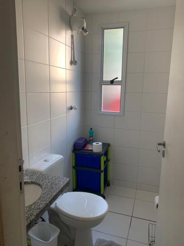 Alugar Apartamentos / Padrão em Suzano R$ 1.800,00 - Foto 12