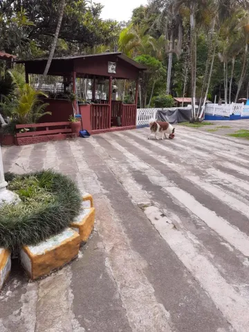 Comprar Rurais / Chácara em Suzano R$ 750.000,00 - Foto 10