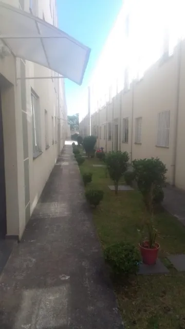 Alugar Apartamentos / Padrão em Suzano R$ 580,00 - Foto 5