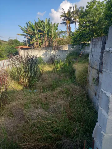 Comprar Rurais / Chácara em Suzano R$ 600.000,00 - Foto 6