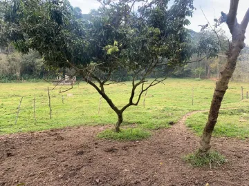 Comprar Rurais / Chácara em Santa Isabel R$ 750.000,00 - Foto 9