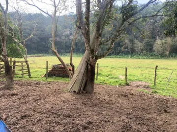Comprar Rurais / Chácara em Santa Isabel R$ 750.000,00 - Foto 10