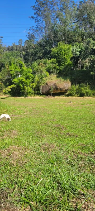 Comprar Rurais / Sítio em Suzano R$ 4.430.000,00 - Foto 15
