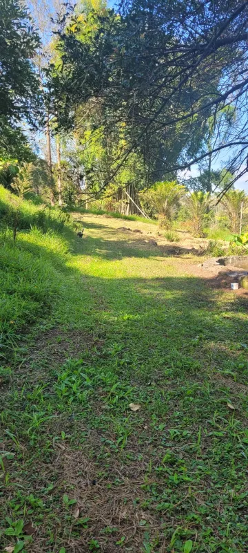 Comprar Rurais / Sítio em Suzano R$ 4.430.000,00 - Foto 16