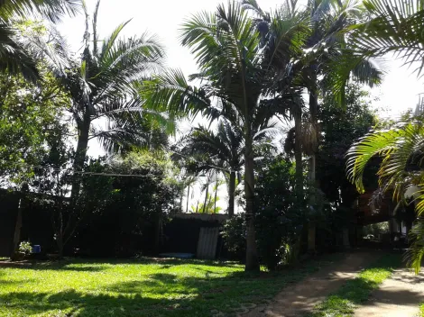 Comprar Rurais / Chácara em Suzano R$ 850.000,00 - Foto 17