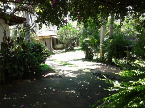 Comprar Rurais / Chácara em Suzano R$ 850.000,00 - Foto 18